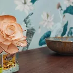 Seren Agua Apartamento