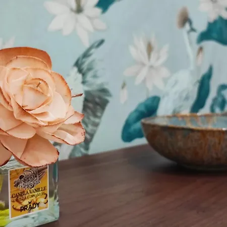 Seren Agua Apartamento